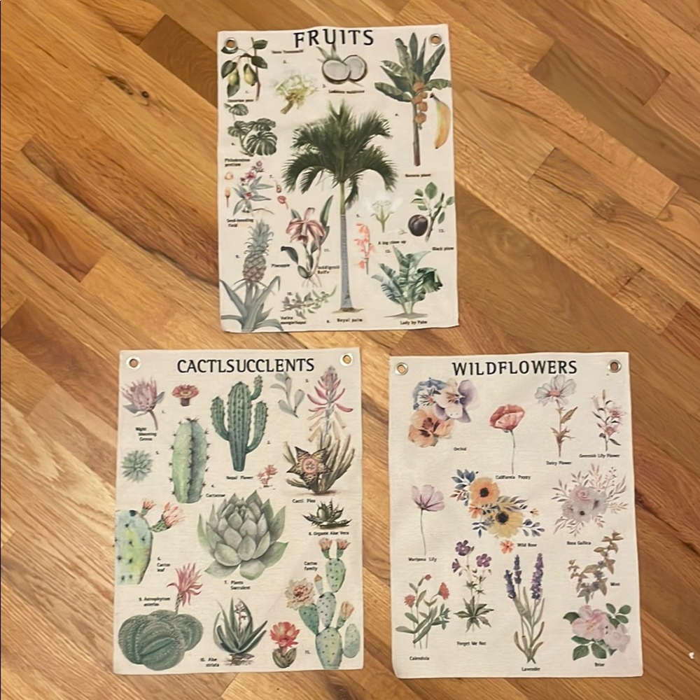 Botanical Wall Hanging Set with Fruits, Cacti, and Wildflowers